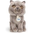 bon-ton-toys-plush-bt-chaps-freddy-the-british-shorthair-cat-plush-in-giftbox-6-5-32019840041047_720x-1