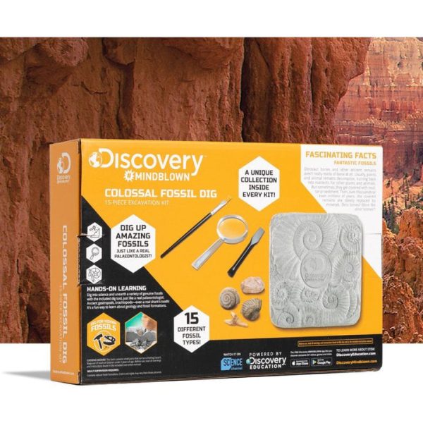 discovery-mindblown-stem-colossal-fossil-dig-set-32434812846167_720x discovery-mindblown-stem-colossal-fossil-dig-set-32434812846167_720x