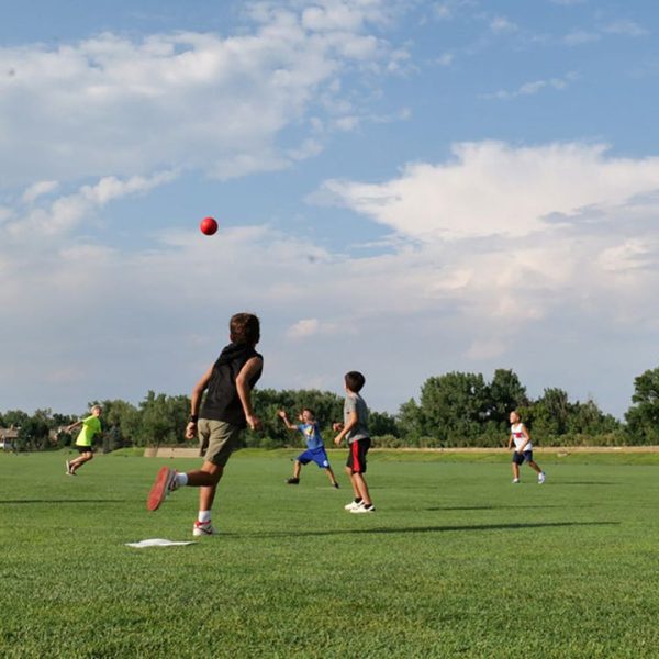 ec6455d4-ec3b-483a-99a5-aa23081f8103_720x-3 ec6455d4-ec3b-483a-99a5-aa23081f8103_720x-3