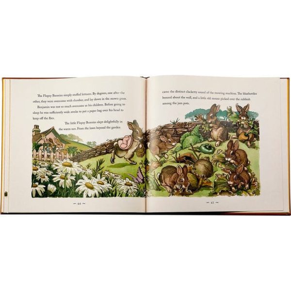 graphic-image-books-the-classic-tale-of-peter-rabbit-book-in-tan-bonded-leather-32343281991767_720x-1