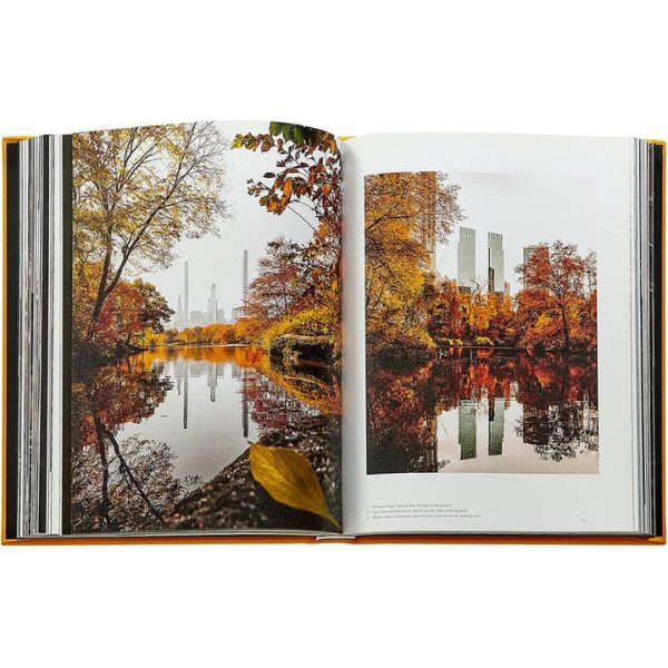 graphic-image-books-trope-new-york-book-leather-edition-1152077146_720x-4 graphic-image-books-trope-new-york-book-leather-edition-1152077146_720x-4