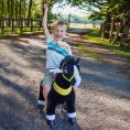 ponycycle-inc-preschool-black-ride-on-horse-ages-3-5-31162522206295_720x-1