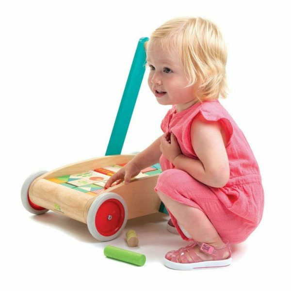 tender-leaf-preschool-baby-block-walker-29339713994839_720x-1 tender-leaf-preschool-baby-block-walker-29339713994839_720x-1