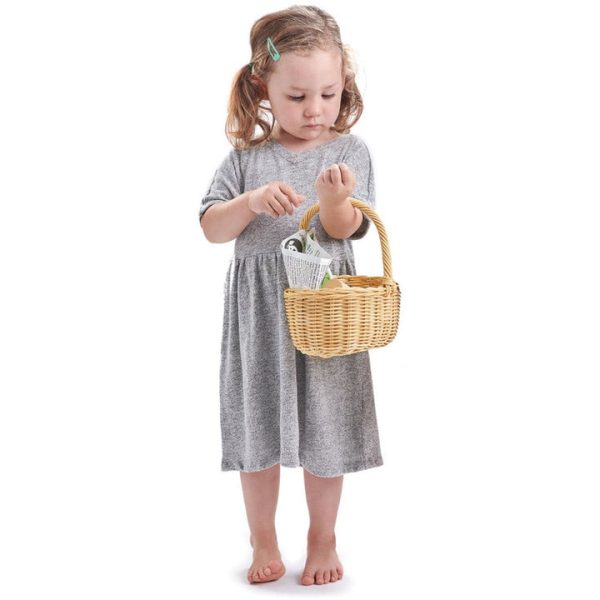 tender-leaf-toys-preschool-wicker-shopping-basket-29711571976279_720x-1 tender-leaf-toys-preschool-wicker-shopping-basket-29711571976279_720x-1