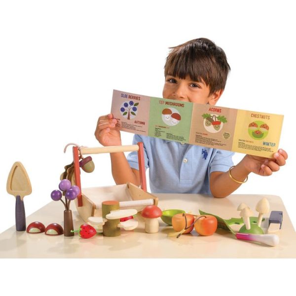 tender-leaf-toys-preschool-wild-wood-foraging-trug-1130106586_720x-5 tender-leaf-toys-preschool-wild-wood-foraging-trug-1130106586_720x-5