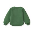 LY32028-IRC-charmed-green-organic-sweatshirt-back.jpg