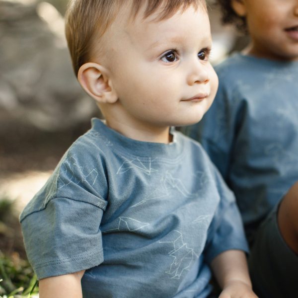 LY32634-ALT2.jpg LY32634-ALT2.jpg