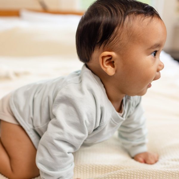 LY32668-BMS-ALT2.jpg LY32668-BMS-ALT2.jpg