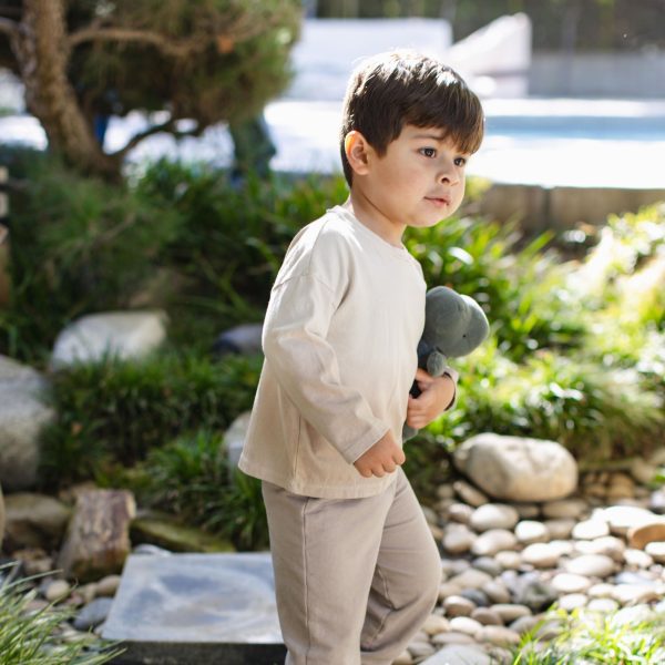 TD32631-ALT1.jpg TD32631-ALT1.jpg