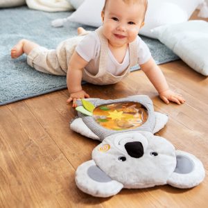 koala-water-play-mat-306659-ls2.jpg